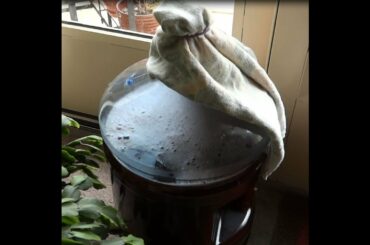 The World's Easiest Homemade WINE from Grape Juice