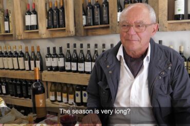 Omina Romana in Nemi: Culinary and Wine (Part 2)