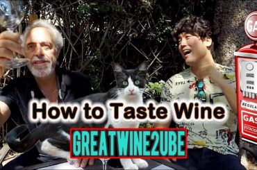 How to taste wine? A perfect wine course & all about wine tasting!