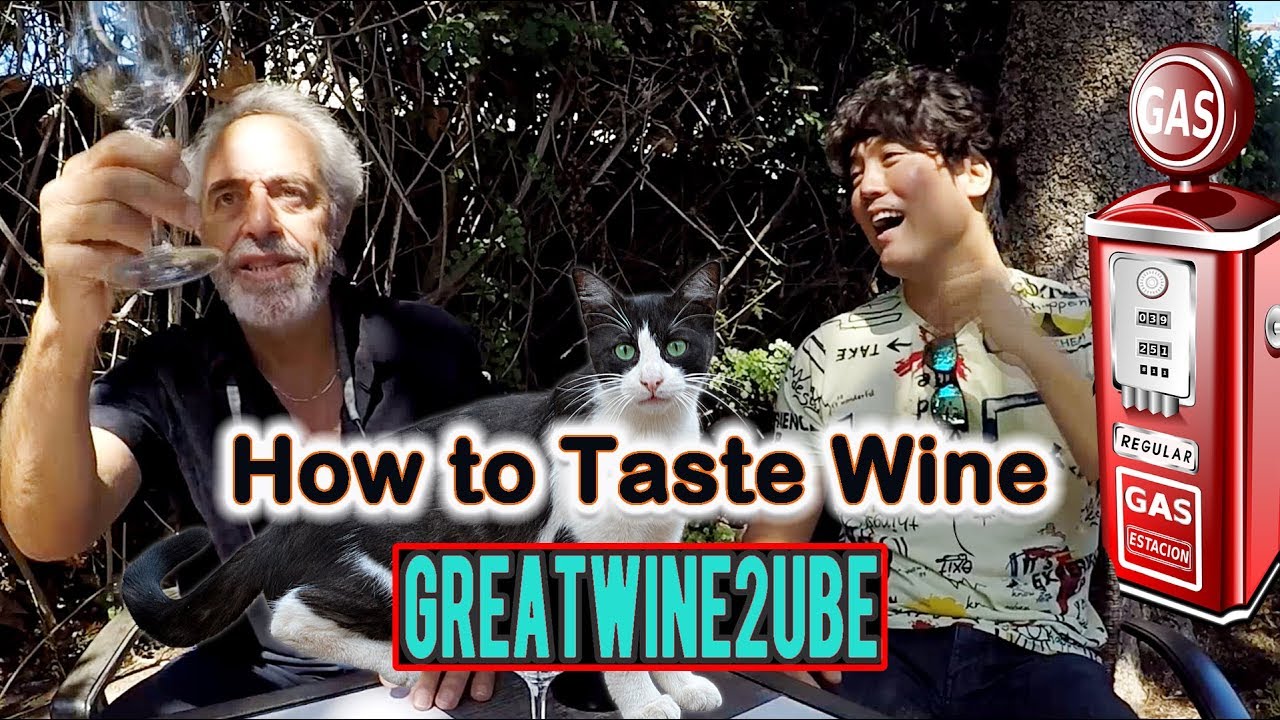 How to taste wine? A perfect wine course & all about wine tasting! How to taste wine? A perfect wine course & all about wine tasting!