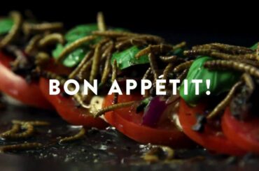 EntoChef Insect Recipes - Italian Salad