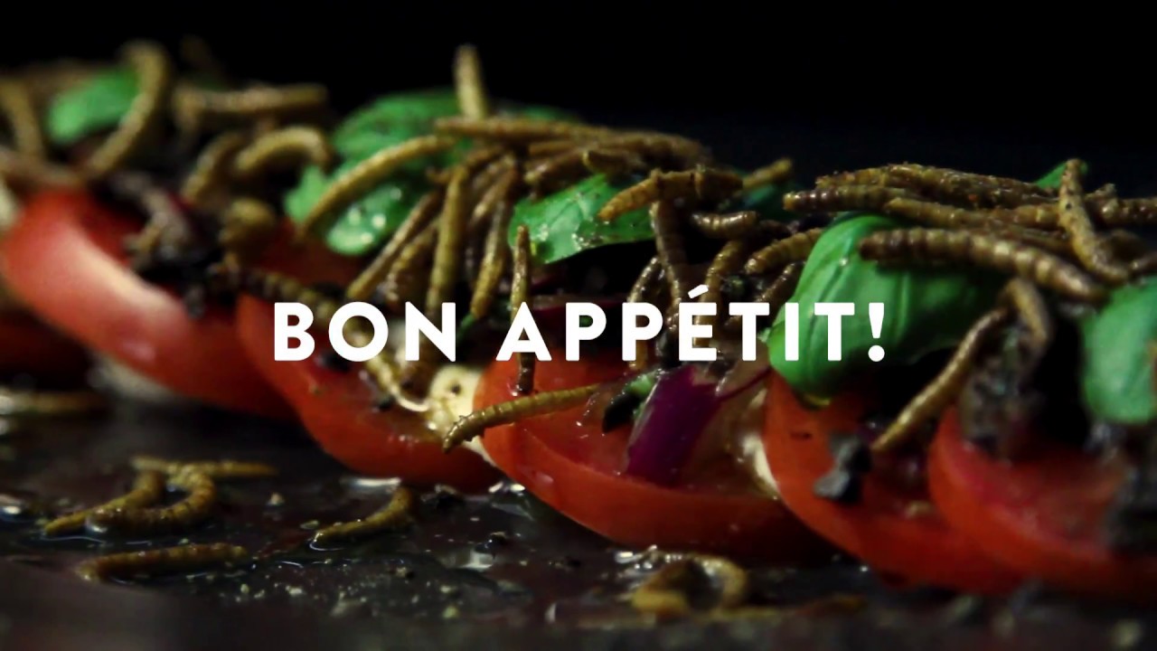 EntoChef Insect Recipes – Italian Salad EntoChef Insect Recipes - Italian Salad