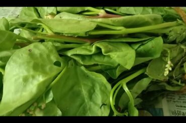 பசலைக்கீரை கடையல் - Virgin Foods - Authentic Indian, Continental, Chinese, Italian Cuisine Recipes