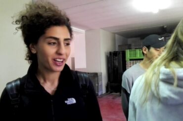 Sustainability, Wine & Olive Oil in Italy - Intern and Study