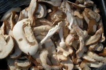 Italian Mushroom Salad | EASY TO LEARN | QUICK RECIPES