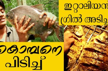 കൊമ്പനെ പിടിച്ച്‌ ഇറ്റാലിയൻ ഗ്രിൽ അടിച്ചു   |  Primitive Fishing & Cooking (Italian Grilled Fish)