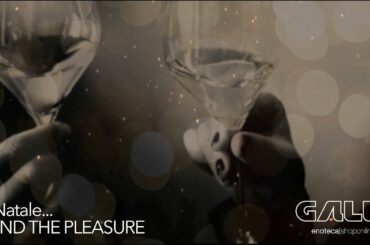 Natale 2019 | Champagne | Mind The Pleasure | Galli Enoteca wine shoponline