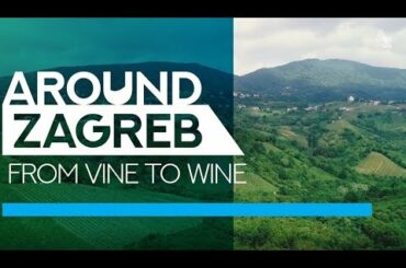 From vine to wine – AROUND ZAGREB