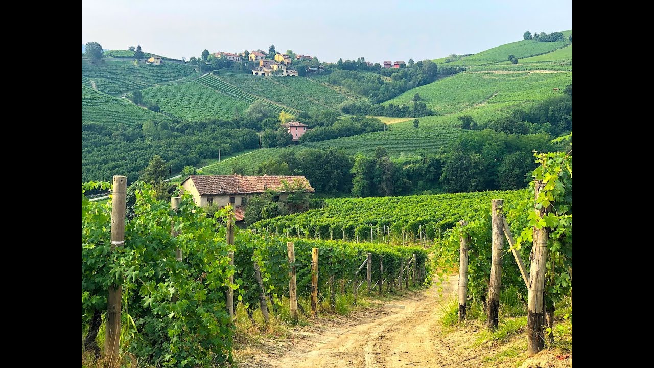 Italy's Barolo Wine Region Italy's Barolo Wine Region
