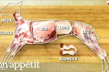 How to Butcher an Entire Lamb: Every Cut of Meat Explained | Handcrafted | Bon Appetit