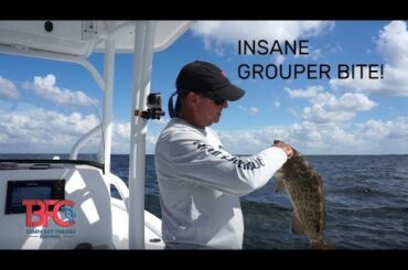Insane Grouper Bite in Tampa Bay along with a Catch and Cook!