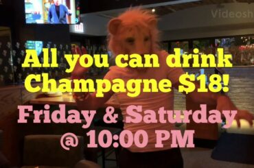 Casati's Pop This Bottle Night