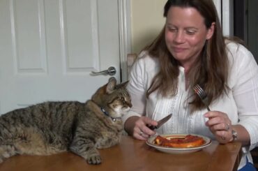 Cat Cured After Craving Italian Food