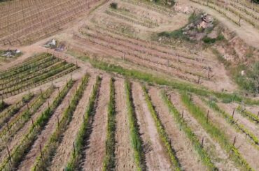 Il Viaggio con Italian Wines