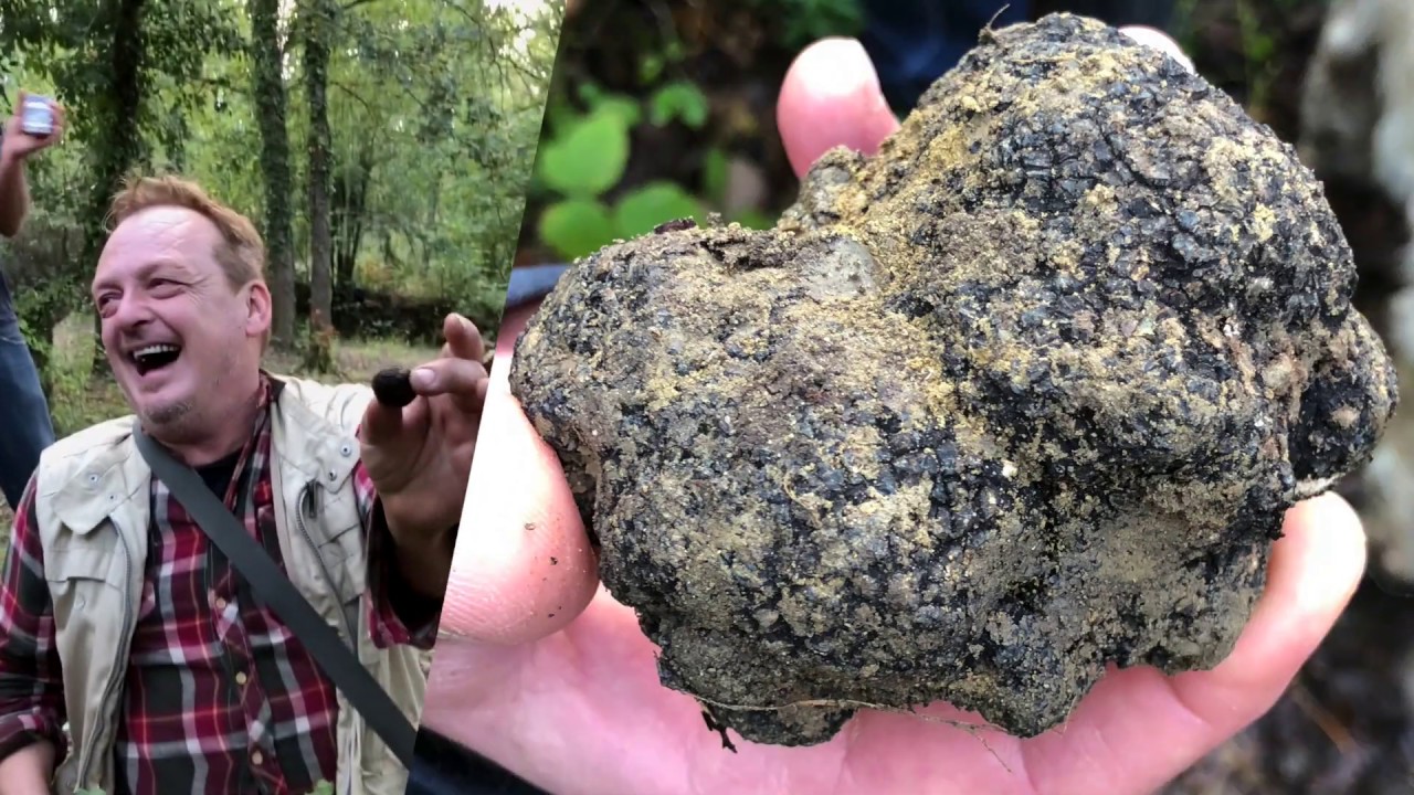 Culinary, Culture, Wine, & Yoga Retreat in Tuscany, Italy Culinary, Culture, Wine, & Yoga Retreat in Tuscany, Italy