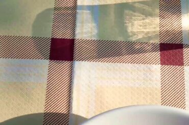 Wine tasting and pasta tasting in Toscana