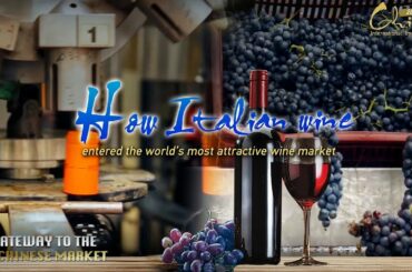 How Italian wine entered the world's most attractive wine market