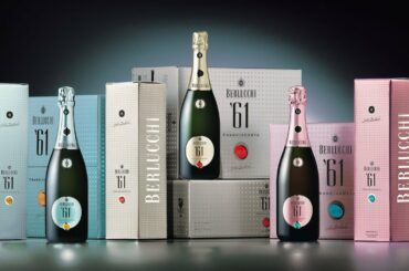 UNIMAGINABLE WINE TESTING BERLUCCHI // FRANCIACORTA WINERY ITALY.