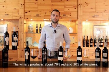 Feudo Principi di Butera Winery, ZONIN1821 Estate