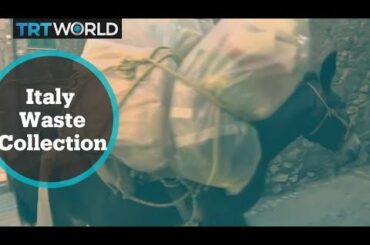 Italy Waste Collection: Mules help town with garbage disposal