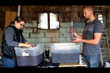 Making Red Wine from Grapes - Part 1