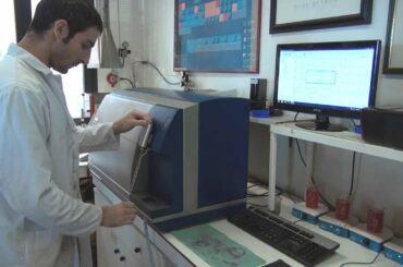 Using the FOSS wine analyser to improve wine control