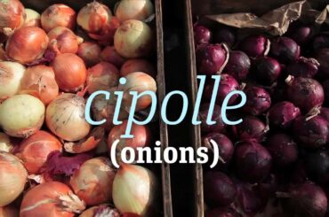 Shopping for Dinner: Learn Italian!