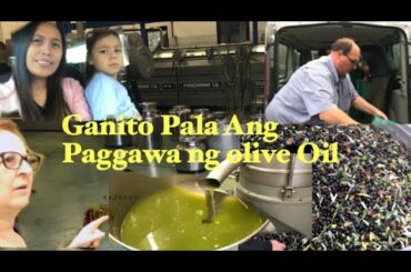 ITALIAN OLIVE OIL |HOW THEY PROCESS |PINAY IN ITALY |THE JELLYGIONS
