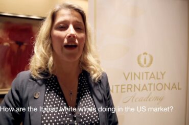 Vinitaly USA Houston 2017 | Interview with Elise Vandenberg Italian Wine Ambassador