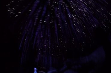 2019 Epcot Food & Wine Festival pt 2: Mom Tested, Mom Approved.