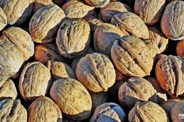 Nuts Italian Food Cover Garden Fruit Closeup Wallpaper