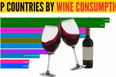 Countries That Drink The Most Wine 🍷