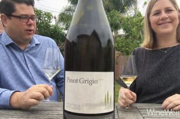 2014 Cantina Kurtatsch Pinot Grigio Sudtirol Alto Adige, Italy White Wine