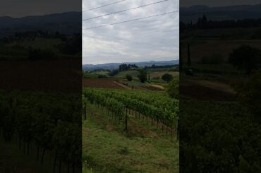 Tuscany Italy, Wine Tasting