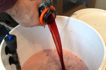 Making Red Wine Vinegar: Part 1