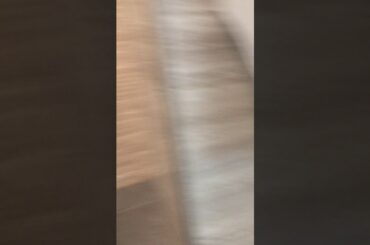 Fancy restaurant part 2 final