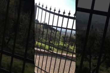 TUSCAN REGION OF ITALY TOUR (1)