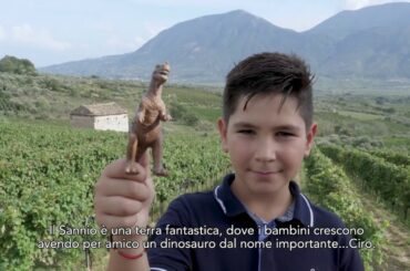 Sannio Falanghina European Wine City 2019 ENG