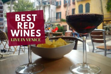 The Best Red Wines for Beginners (On the Road from Venice)