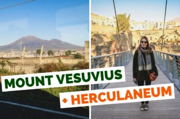 Mount Vesuvius and Herculaneum Day Trip in Naples, Italy