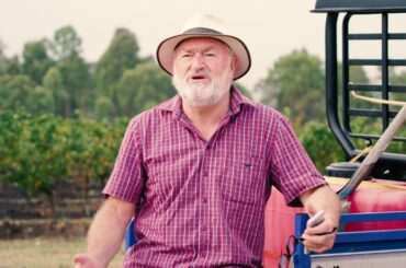 Vino Veritas - There is truth in wine