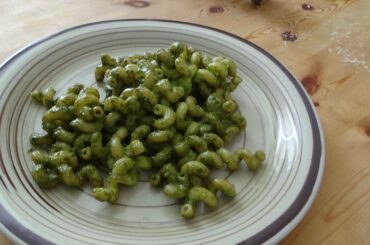 basil pesto plant based raw seasoning