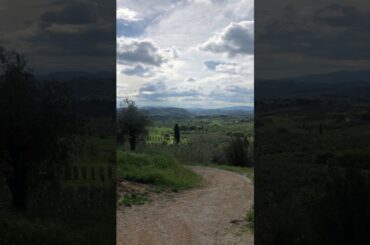 TUSCAN REGION OF ITALY TOUR (9)