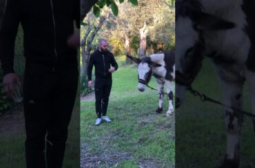 TUSCAN REGION OF ITALY TOUR (11)