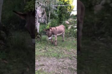 TUSCAN REGION OF ITALY TOUR (13)