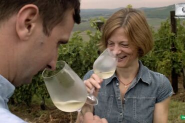 Paid Post - A taste of Hungary’s finest wines