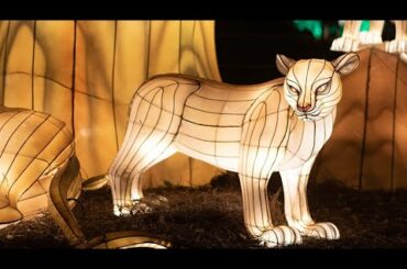 Audubon Supper Club: Dine Under the Holiday Lights