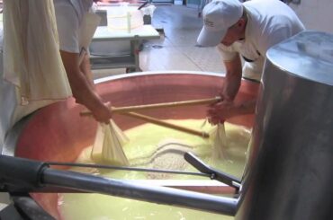 Food Tour in Modena, Italy