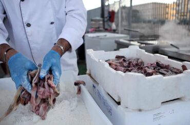 Fried Fish and Seafood. Olbia, Sardinia Street Food Festival. Italy