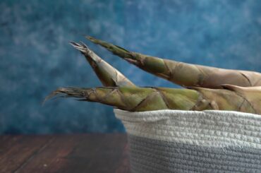 Bambita | Culinary Bamboo Shoots